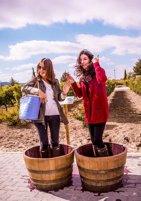 Hotel Rural Emina Valbuena De Duero Eksteriør billede
